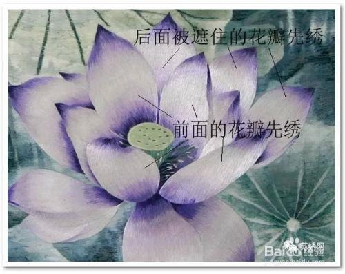 苏绣教学视频,一针一线绘就江南韵味