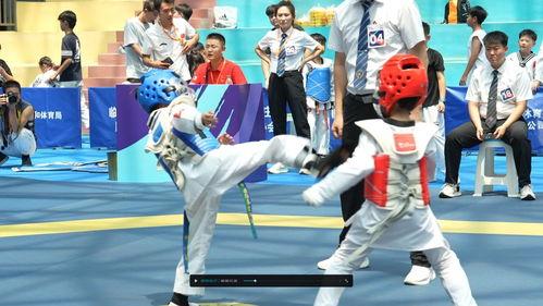 跆拳道最新爆料,神秘事件揭秘，高手对决背后的真相