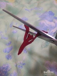 怎么训鹰视频教程,跟随专业教程轻松掌握鹰的训练技巧