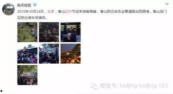 北京网红爆料视频大全集,揭秘都市生活幕后真相