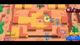 av11425,揭秘AV11425背后的故事