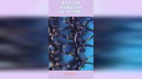 舔丝袜完就gif,一触即发的激情瞬间