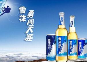 劲爽啤酒爆料视频大全集,揭秘品牌魅力与市场风云