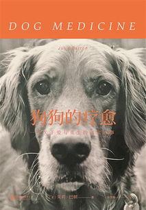 爱犬的奇迹在线免费观看,免费在线观看，见证忠诚与生命的奇迹