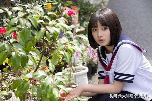 日本幼 系列,探索童年记忆的温馨画卷